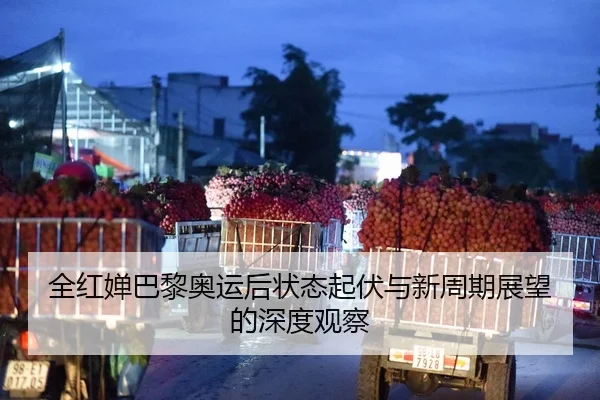 全红婵巴黎奥运后状态起伏与新周期展望的深度观察