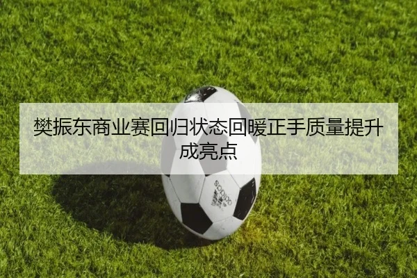 樊振东商业赛回归状态回暖正手质量提升成亮点